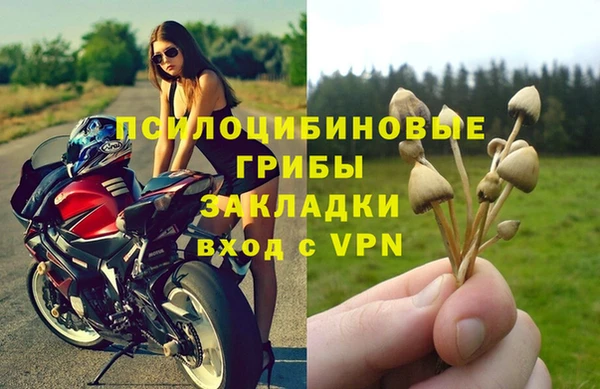 синтетический гашиш Касимов