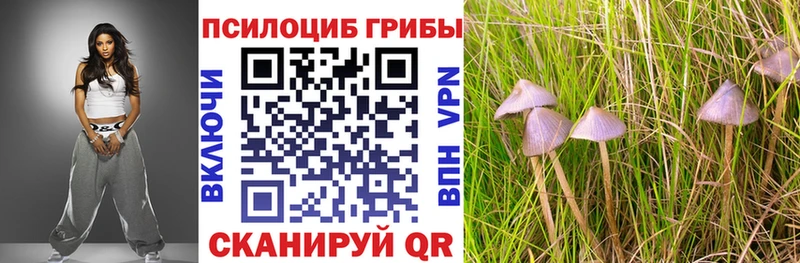 Купить  Боготол  Псилоцибиновые грибы мицелий 